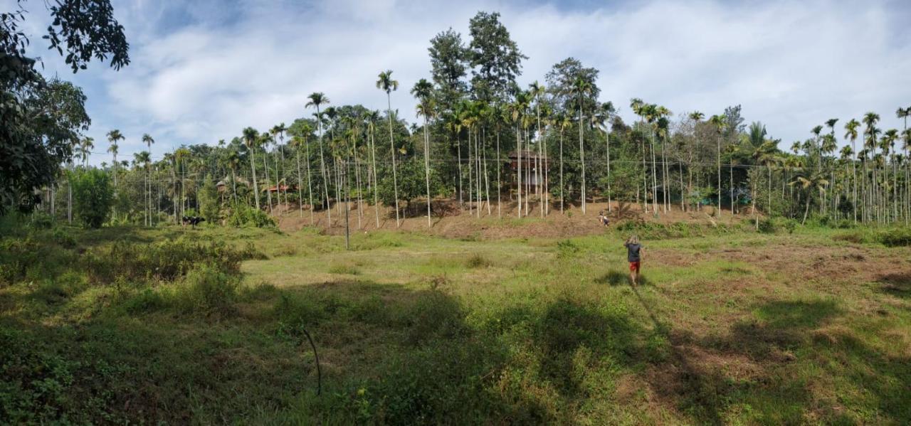 Kalidasa Tree House And Villa, Wayanad Chegāt المظهر الخارجي الصورة