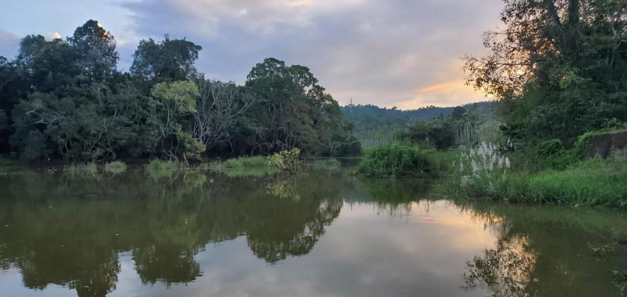 Kalidasa Tree House And Villa, Wayanad Chegāt المظهر الخارجي الصورة