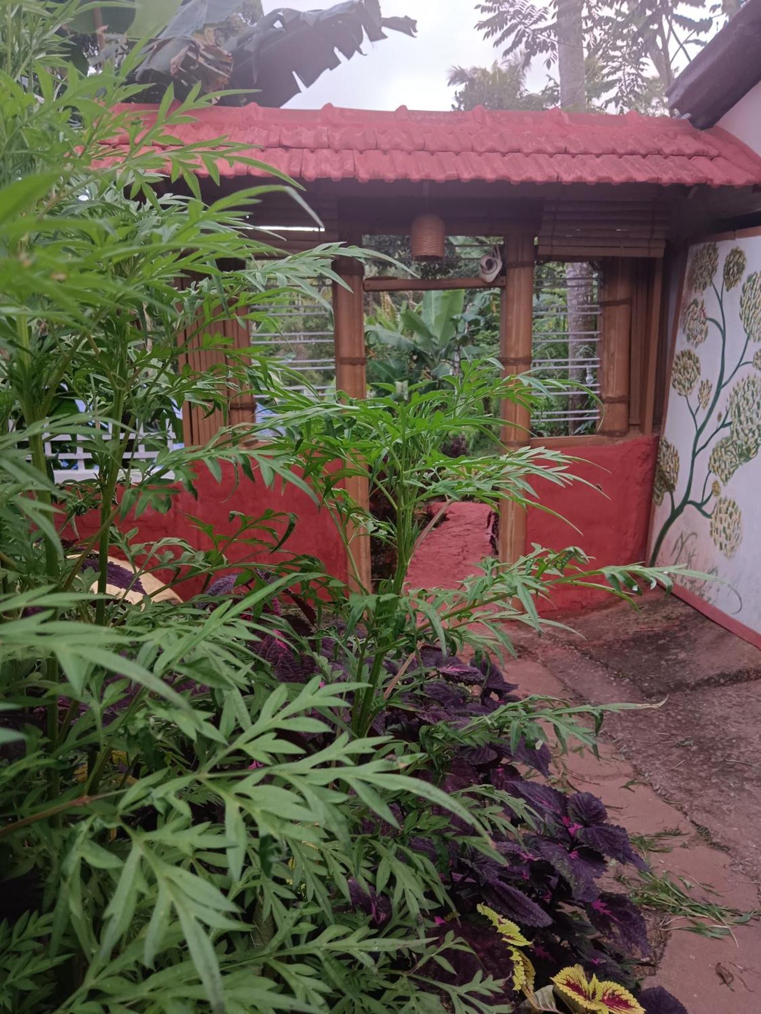 Kalidasa Tree House And Villa, Wayanad Chegāt المظهر الخارجي الصورة