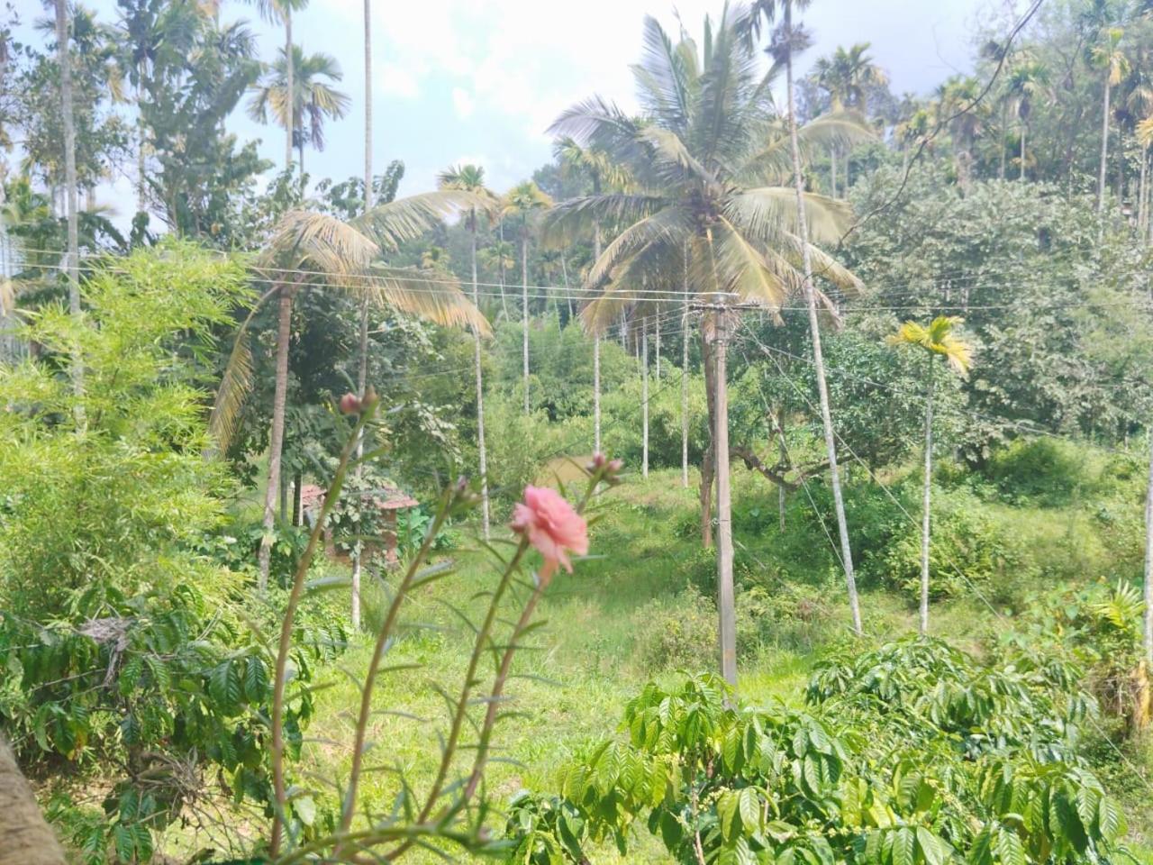 Kalidasa Tree House And Villa, Wayanad Chegāt المظهر الخارجي الصورة